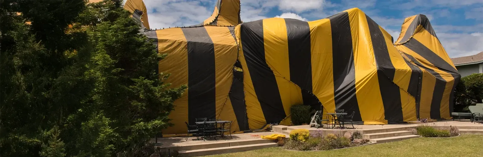 fumigation