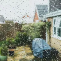 View of a rain from a window