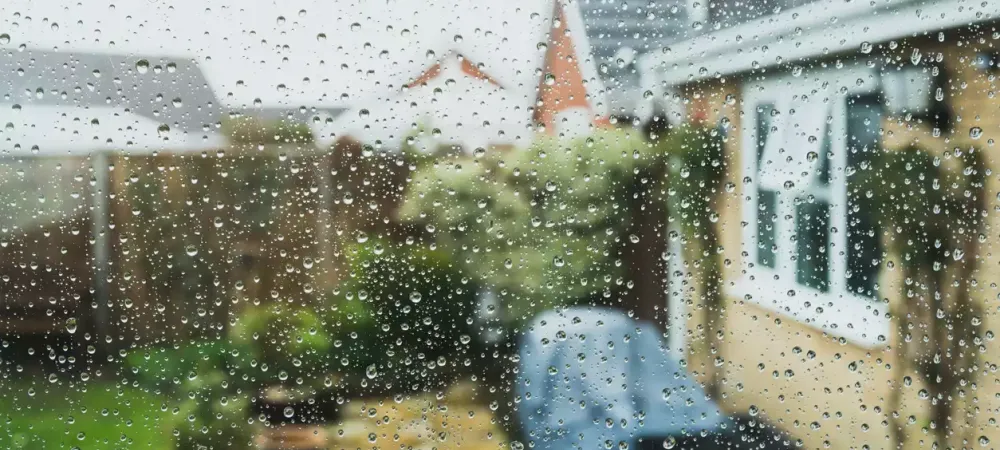 View of a rain from a window